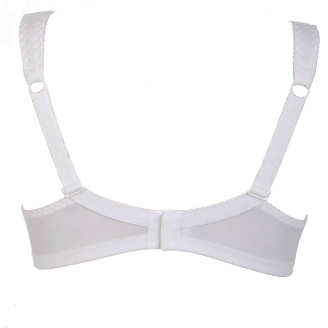 REGGISENO 972 GIOS
