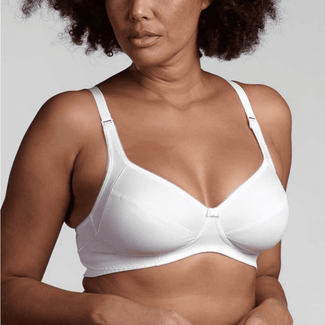REGGISENO 650 BELSENO COPPA LISCA LEPEL